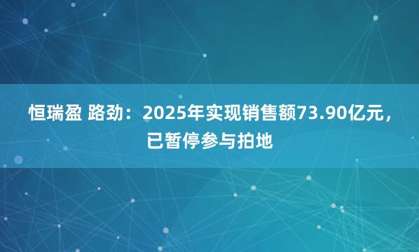 恒瑞盈 路劲：2025年实现销售额73.90亿元，已暂停参与拍地