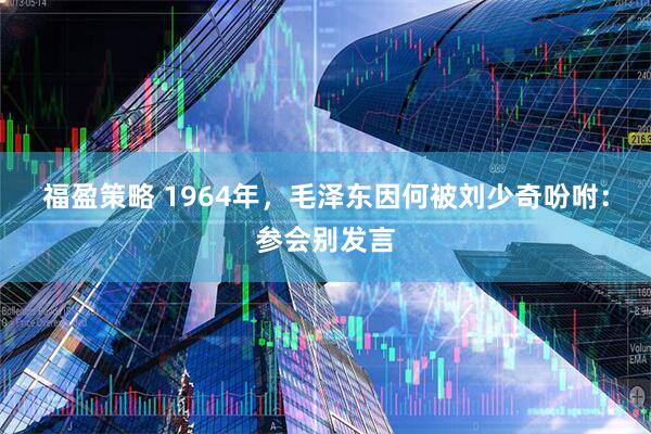 福盈策略 1964年，毛泽东因何被刘少奇吩咐：参会别发言