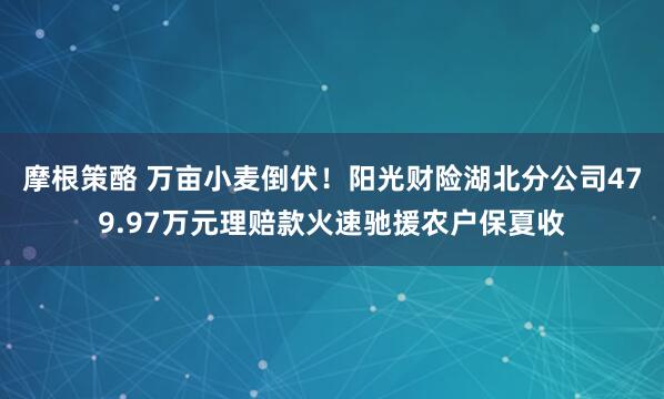 摩根策酪 万亩小麦倒伏！阳光财险湖北分公司479.97万元理赔款火速驰援农户保夏收